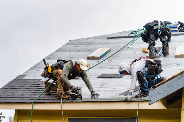 Professional Storm Damage Roof Repair technician working in Laceys Spring, AL